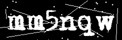 图形验证码