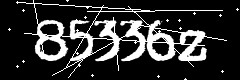图形验证码