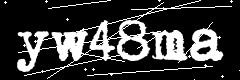 图形验证码